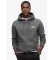 Kopen Superdry Essentieel sweatshirt grijs