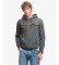 Kaufen Superdry Outdoors Stripe Logo Kapuzenpullover grau