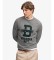 Comprar Superdry Camisola Felt Applique Relaxed cinzenta