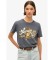 Comprar Superdry Camiseta Tattoo Script Relaxed gris