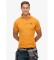 Comprare Superdry Polo sportiva gialla vintage