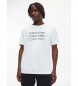 Calvin Klein Calvin Klein T-shirt 3 wit