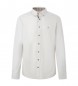 Hackett London Shirt Flannel Border white