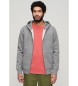 Superdry Essentieel sweatshirt grijs