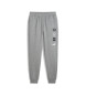 Puma Pantalón De Chándal Graphic S Gris