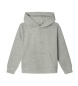 Pepe Jeans Kapuzensweatshirt Artie grau