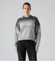 Levi's Jersey Charlotte Fairisle grau