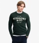 Superdry Camisola Applique verde