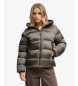 Superdry Rjavo-zelena jakna s kapuco Hooded Shine