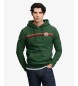 Superdry Outdoors Stripe Logo green hoodie