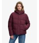 Superdry Premium Kapuzenjacke bordeauxrot