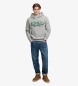 Superdry Sudadera con capucha Vintage Script gris