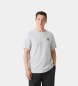 Helly Hansen Camiseta Nord Graphic gris