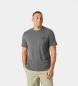 Helly Hansen Skog Graphic T-shirt grå
