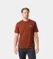 Helly Hansen T-shirt Skog Graphic teglrød