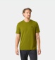 Helly Hansen Grøn Skog Graphic trøje