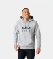 Helly Hansen Sweat à capuche Core Graphic gris