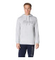 Asics Sudadera Logo Oth gris