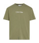 Calvin Klein T-shirt i bomull med logotyp grön