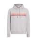 Calvin Klein Sweatshirt mit linearem Logo auf der Brust grau