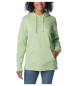 Columbia Trek Grafik Sweatshirt grün