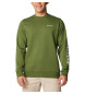 Columbia Trek Sweatshirt grün
