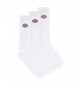 Dickies 3-pack of Valley Grove Socks white