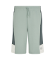 EA7 Summer Block bermudashorts i grn bomuldsblanding