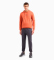 EA7 Chándal de algodón regular fit naranja, gris