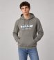 EA7 Teo gray sweatshirt