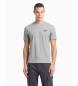 EA7 Core Identity T-shirt in Pima cotton grey