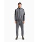 EA7 Tracksuit de visibilité en coton mélangé gris