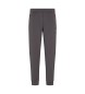 EA7 Train Premium Shield Pants grey
