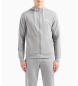 EA7 Sichtbarkeit Sweatshirt grau