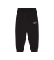 EA7 Pantalon Core Identity noir