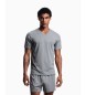 Emporio Armani Stil T-shirt grå