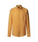 Faonnable Sp Gdlin orange shirt