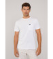 Faonnable T-shirt Indemodable blanc