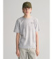 Gant T-shirt grafica con scritta Teens grigia