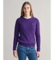 Gant Pull Shield Teen en jersey de coton lilas et écru