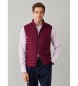 Hackett London Colete Ultra bordô