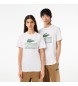 Lacoste Regular fit hvid chunky strikket bomulds-T-shirt