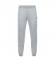 Pantalones Essentiels Regular N°1 gris