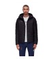 Mammut Chaqueta Con Capucha Albula In negro