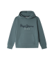 Pepe Jeans Sweatshirt Art grøn