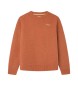 Pepe Jeans Dairon Pullover braun