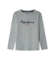 Pepe Jeans Nieuw Herman T-shirt grijs