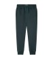 Pepe Jeans Jogger trousers Nolan green