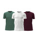 Polo Ralph Lauren Set of 3 T-shirts black, white, green