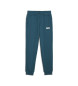 Puma Pantaloni verdi ESS+ 2 Col Logo